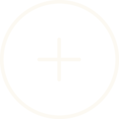 Icon Plus
